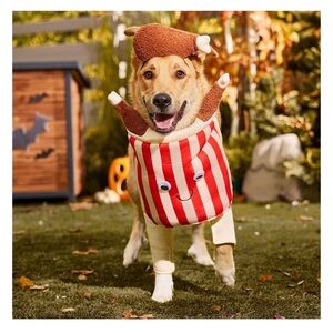 Dog Costume